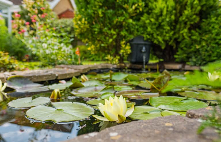 what-size-pump-do-i-need-for-a-koi-pond-pond-heaven