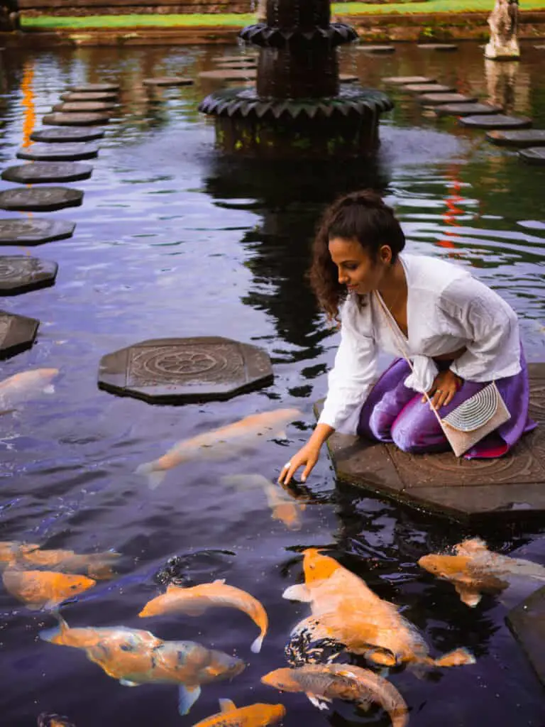 The Pros And Cons of Koi Fish - Pond Heaven