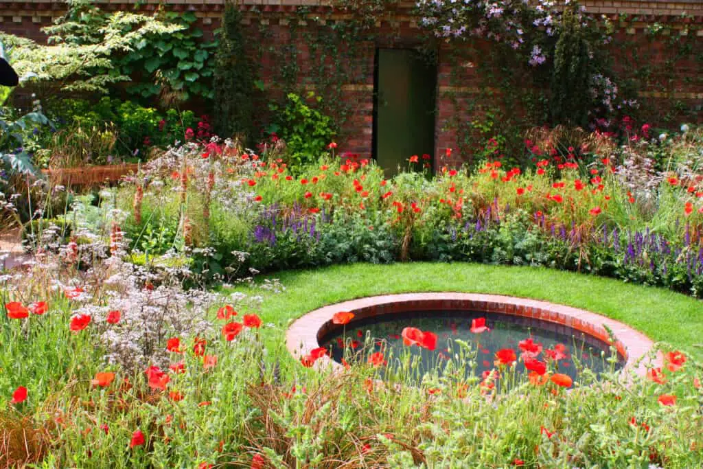 A small round Koi pond