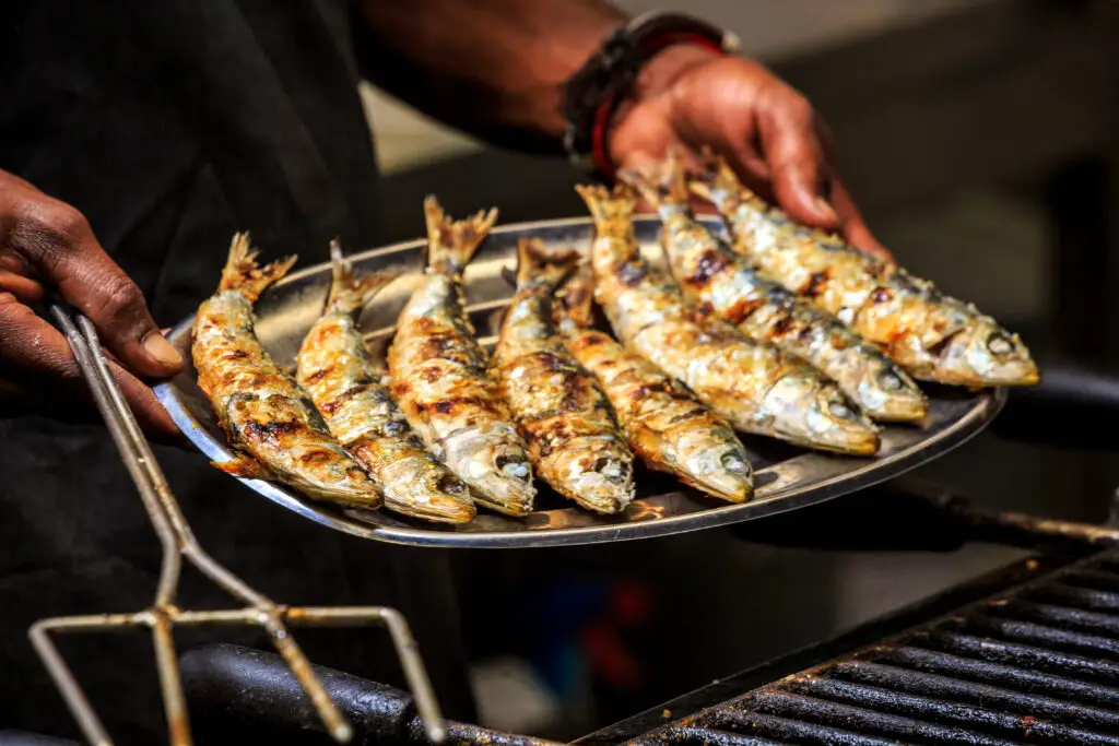 Freshly grilled sardines on silver plate, Portugal