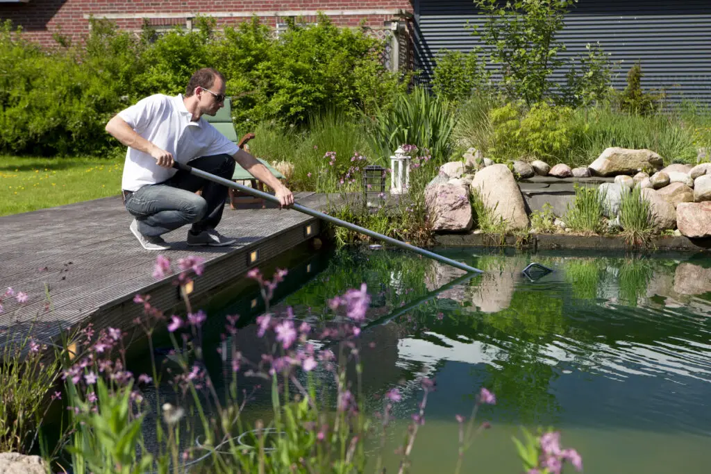 Man cleanse his garden pond with a landing net, perches on a terraced wood, stones and bushes in background