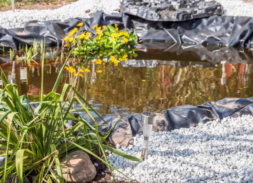 Garden pond pond construction in the garden