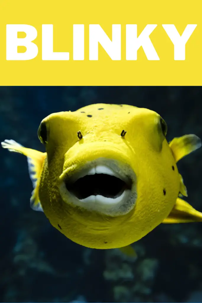 Funny Famous Fish Names That Will Make You Laugh
