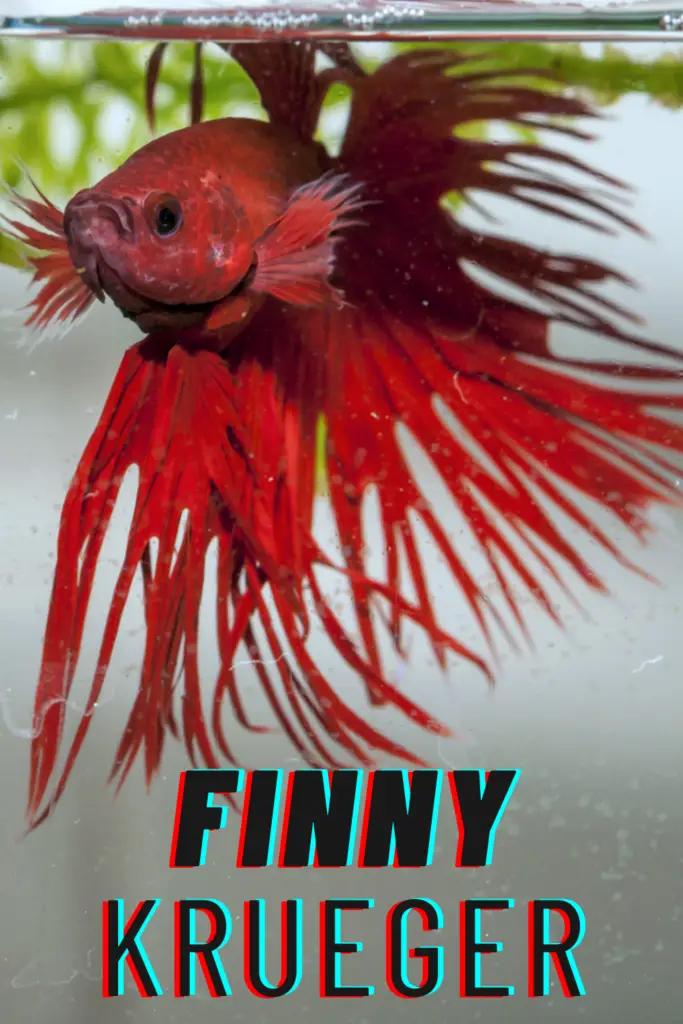 Funny Fish Names Inspired By Movies And TV Shows
