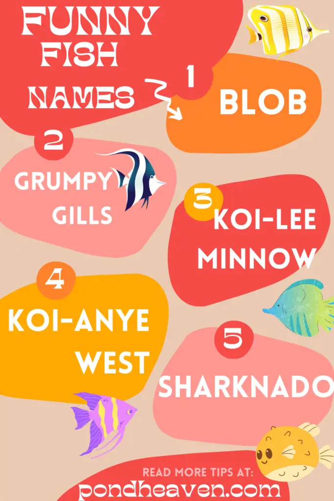 funny fish names infographic