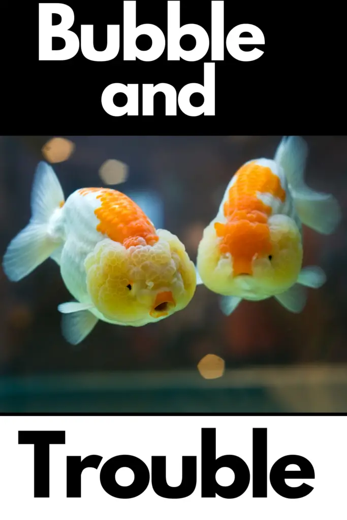 funny fish names pairs