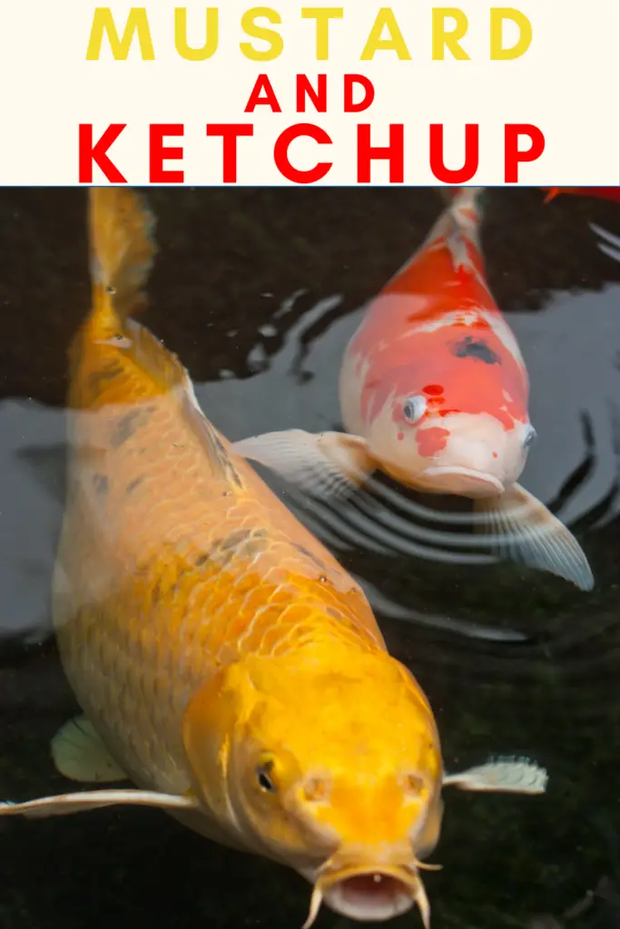 funny food names for fish